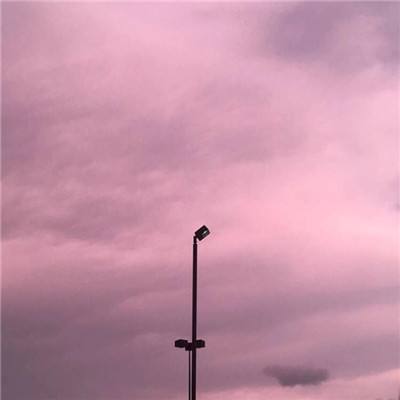 新188app官网下载截图