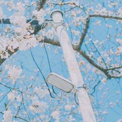 火狐体育下载app截图