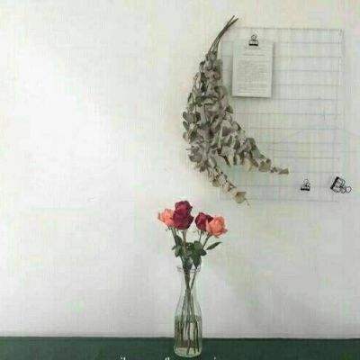 半岛综合app官网版登录